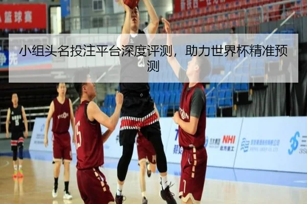 小组头名投注平台深度评测，助力世界杯精准预测